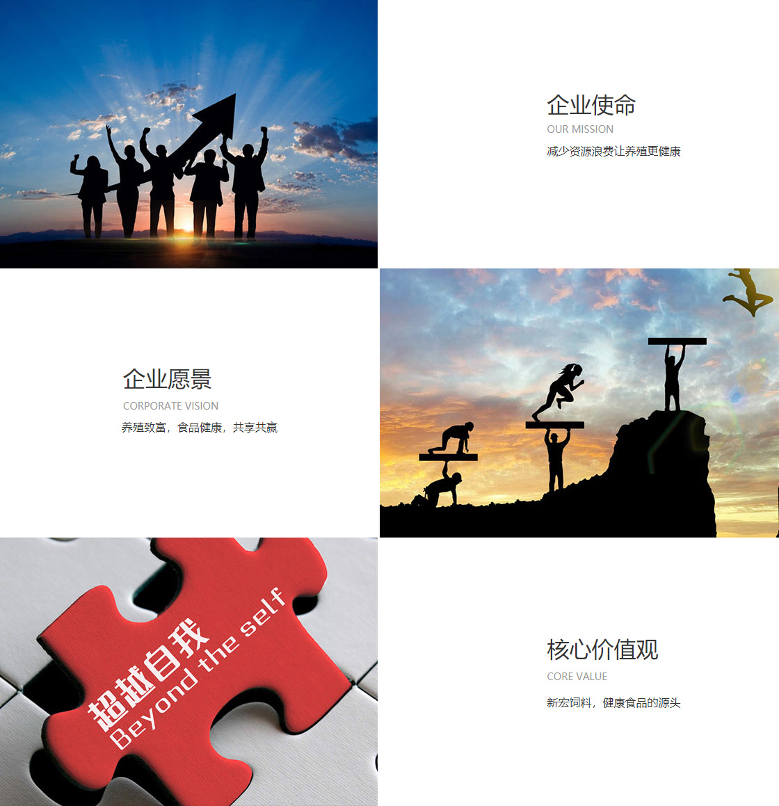 宝威体育官方app下载(图1)